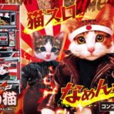 なめ猫 に登場するキャラの誕生日